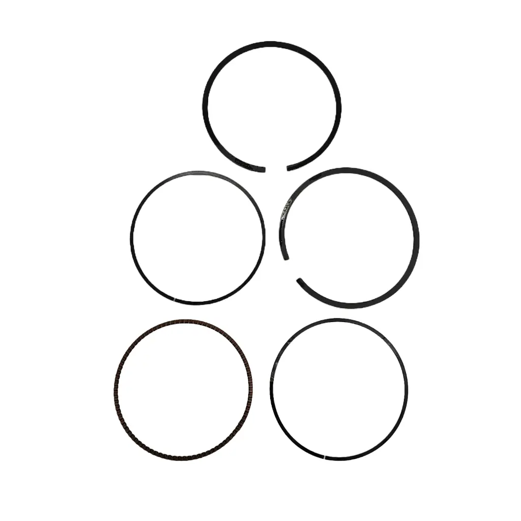 RI-PA-003.webp