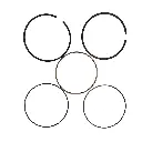 OA-PA-002(2).webp