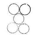 OA-YA-001(2).webp